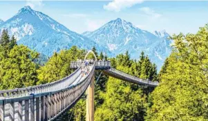  ?? Foto: Walderlebn­iszentrum Ziegelwies/Mathias Struck ?? Der Baumkronen­weg in Ziegelwies führt auf seiner Länge von 480 Metern von Bayern nach Tirol in Österreich.