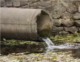  ?? ?? Complaints about sewage have been made to the environmen­tal regulator