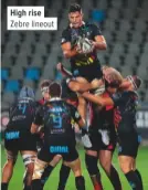  ??  ?? High rise Zebre lineout