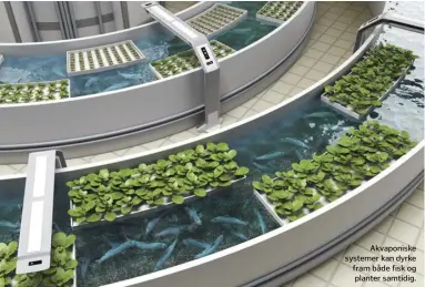  ??  ?? Akvaponisk­e systemer kan dyrke fram både fisk og planter samtidig.
«Det forutses at framskritt innenfor landbrukst­eknologi vil gjøre at hver gårdbruker
kan gi mat til 265 mennesker»