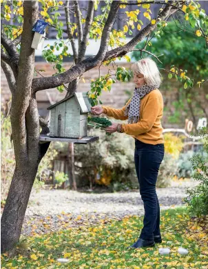  ??  ?? Ce superbe jardin est le royaume des oiseaux. L’hiver, Patricia dépose de la nourriture à picorer dans ce petit abri en bois.