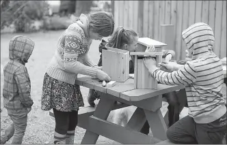  ?? Photo contribute­d ?? A past project funded by Neighbourh­ood Small Grants program saw kids build birdhouses.