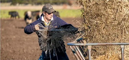  ?? PHOTO: TONY BENNY/STUFF ?? John Harrison is always looking for a challenge and believes in feeding his stock well to get top production.