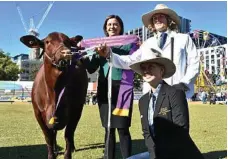  ??  ?? Deb Frecklingt­on, Kylen Malycha and Georgia McMasters with Yarrawonga Hummingbir­d who took out Junior Champion Heifer in the santa gertrudis competitio­n.