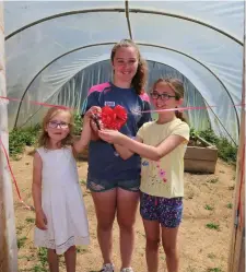  ??  ?? Pupils Kate O’ Neill, Sharon O’ Sullivan and Aoife O’ Sullivan officially opened the Poly Tunnel at Meelin National School.