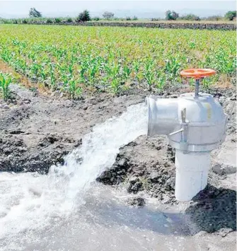  ?? / ARCHIVO ?? El agua no alcanza y seguros ayudan, pero se esperan ciclos agrícolas muy mermados