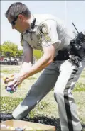  ?? Bizuayehu Tesfaye Review-Journal ?? Metro police Sgt. Dave Watts hides eggs during the annual Easter egg hunt event at Doolittle Community Field on April 10.