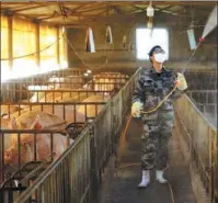  ?? WANG QUANCHAO / XINHUA ?? Left: A worker disinfects a pig farm in Suining, Sichuan province. farm in Chongqing.