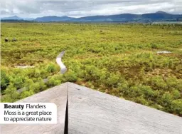  ??  ?? Beauty Flanders Moss is a great place to appreciate nature