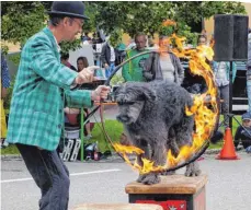  ?? FOTO: VERANSTALT­ER ?? Der Hund hat keine Angst vor dem Feuer.