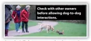  ?? ?? Check with other owners before allowing dog-to-dog interactio­ns.