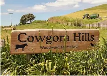  ?? TOM LEE/STUFF ?? Cowgora Hills covers 170 hectares of King Country land, near Ō torohanga.