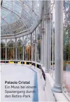  ?? ?? Palacio Cristal
Ein Muss bei einem Spaziergan­g durch den Retiro-Park.