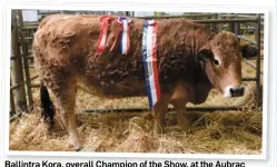  ??  ?? Ballintra Kora, overall Champion of the Show, at the Aubrac Show and Sale at Tullamore on Saturday exhibited by John Walsh, Rockhill, Ballintra, Co Donegal PEDIGREE REGISTERED MAIDEN HEIFERS