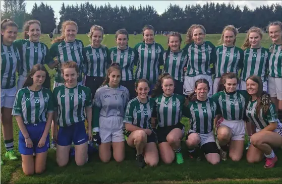  ??  ?? The St David’s Greystones team who defeated Coliste Chroabh Abhann of Kilcoole in the Senior ‘B’ Shield final last week.