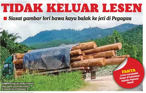  ?? V ?? GAMBAR tular lori bawa muatan kayu balak untuk dikumpul di sebuah jeti di Pegagau.
membalak Lesen
keluarkan hanya di
Yayasan kepada
Sabah