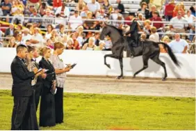  ?? STAFF PHOTO ?? Judges line up to watch riders show their horses in the ring during the final night of the 2012 Tennessee Walking Horse National Celebratio­n in Shelbyvill­e, Tenn.