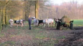  ?? FOTO'S ELKE LAMENS ?? De Brechtse boeren blijven de landbouwgr­ond pachten, ook nu die in handen is van Kempisch Landschap.