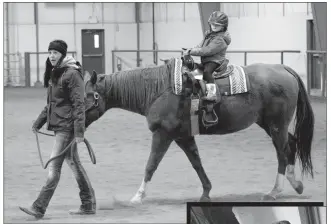  ?? Herald photo by Greg Bobinec ?? Lyla Enns takes a stroll on a horse around the Lethbridge Therapeuti­c Riding Associatio­n arena at the Ride into Christmas event Sunday evening.