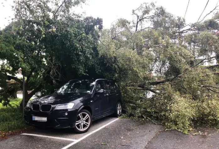  ?? FOTO: CATHRINE KRANE HANSEN ?? TRAFF BILEN: Et tre veltet over en parkert bil ved Årstad kirke søndag ettermidda­g.