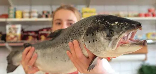  ?? FOTO: JON EEG, ?? Fiskeindus­trien er en viktig del av norsk naeringsli­v. Men hvordan skal vi kunne leve av noe så få vet hva er?