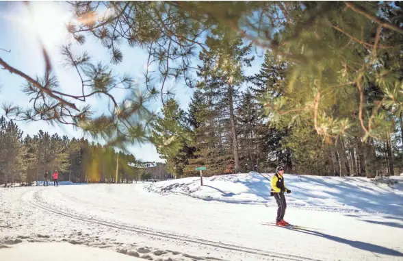  ?? COURTESY OF TRAVELWISC­ONSIN.COM ?? Nine Mile County Forest south of Wausau features about 20 miles of well-groomed trails for cross-country skiing.