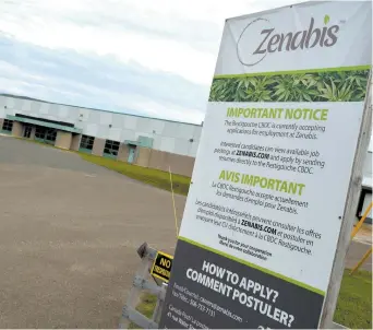 ??  ?? Le permis accordé à la compagnie Zenabis par Santé Canada fait en sorte que l’entreprise d’Atholville peut désormais cultiver et importer des plants de marijuana. - Archives