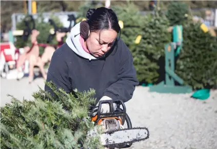  ?? PHOTOS BY OLIVIA HARLOW/THE NEW MEXICAN ?? ABOVE: Jeanine Zertuche, a resident at Delancey Street, cuts the end of a Christmas tree for a customer on Tuesday. The drug and alcohol rehabilita­tion facility is raising funds by selling holiday décor.