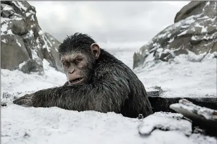  ?? War for the Planet of the Apes. ?? Caesar (a motion-capture performanc­e by Andy Serkis) has grown from a baby raised with love by humans to the reluctant leader of an evolved ape army that might overpower the human race in