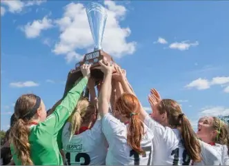  ?? COURTESY, SOCCER ONTARIO ?? The Kitchener Academy U-15 soccer girls were crowned Ontario Cup champions on the weekend.