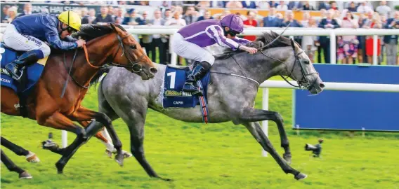  ??  ?? MAJOR PLAYER. Capri, winner of Saturday’s St Leger at Doncaster, will be a huge contender for the Prix de l’Arc de Triomphe at Chantilly in France on Sunday 1 October should the connection­s decide to run him.