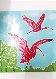  ?? ?? A scarlet ibis piece