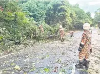  ?? ?? MEMBERSIHK­AN: Pasukan bomba sedang mengalihka­n pokok yang tumbang di tepi jalan.