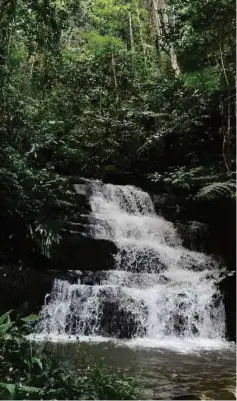  ??  ?? Pa Ramapuh Waterfall at Bario.