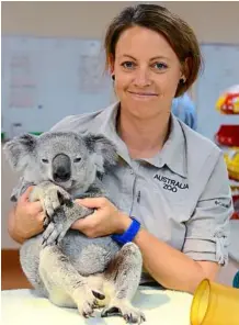  ??  ?? Vet nurse
robyn Kriel with ‘Timberwolf’ the koala in
Beerwah, Queensland. he is lucky to be alive after surviving a terrifying ride down a freeway.
— aFP