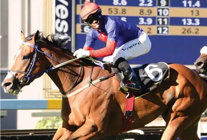  ??  ?? PIERE’S BEST. Piere Strydom makes Exquisite Touch, who runs in Race 7 on the Inside track at Turffontei­n today as his best bet on the card.