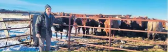  ?? ?? Luc Robitaille, un producteur de bovins de boucherie de Dupuy, a dû se départir de 100 vaches reproductr­ices, car il manquait de foin pour nourrir ses 350 animaux durant l’hiver.