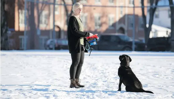  ?? QC PHOTO BY TROY FLEECE ?? Regina Police Service (RPS) Sgt. Tia Froh, with Merlot, a facility dog with the RPS, play frisbee while Merlot has her service dog harness off in Regina. Merlot is a regular dog when unharnesse­d, however when harnessed she takes a much more relaxing...