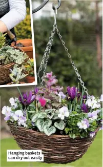  ??  ?? Hanging baskets can dry out easily