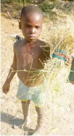  ??  ?? Four-year-old Chado hawks his grass for N50