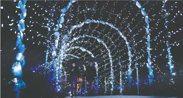  ?? RICHARD LAM ?? Friends walks through the tunnel of light last holiday season while touring Vandusen Gardens’ Festival of Lights. This year’s event is on now until Jan. 5.