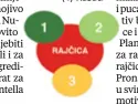  ??  ?? RAJČICA + (1) bosiljak, (2) špinat, (3) neven