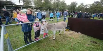  ??  ?? Nora Mjølhus (2), Ann Helen Mjølhus, Vilja Mjølhus (6) og Helle Mjølhus (8) fra Egersund studerte eselet.