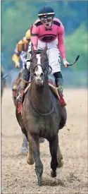  ?? AP - Patrick Semansky ?? Tyler Gaffalione rode War of Will to victory in a Preakness Stakes that also featured Bodexpress bucking his jockey at the starting gate and still finishing the race.