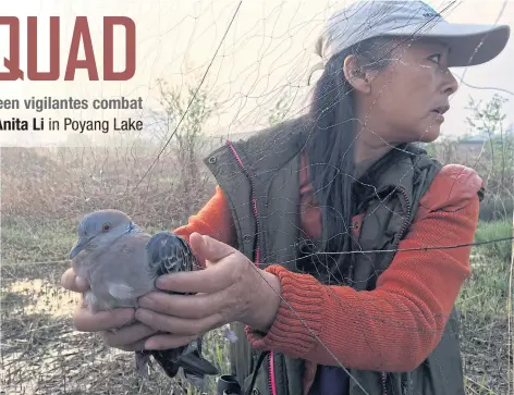  ??  ?? Conservati­onist Liu Yidan frees a spotted dove from an illegal bird net erected in Yingdong county in Anhui province.