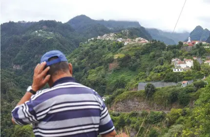  ??  ?? Apesar das medidas de controlo, o pombo-torcaz continua a prejudicar as produções nesta freguesia.