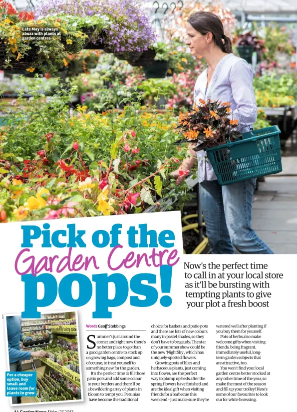  ?? Words Geoff Stebbings ?? Late May is always abuzz with plants at garden centres For a cheaper option, buy small and leave room for plants to grow