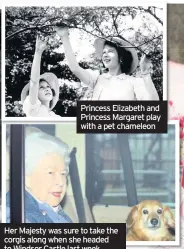  ??  ?? Her Majesty was sure to take the corgis along when she headed to Windsor Castle last week