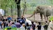  ?? AP ?? A team of veterinari­ans from the internatio­nal animal welfare organizati­on Four Paws briefs media prior to examining an elephant Kaavan at Maragzar Zoo in Islamabad, Pakistan. —