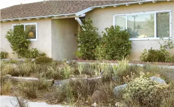  ?? JOSIE BYRNES ?? Plants are dead and dry in this drought-ravaged front-yard garden June 29 in Newbury Park, California.